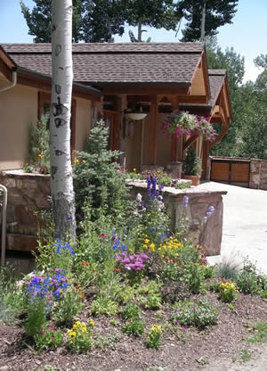 Shady Entrance