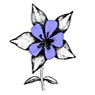 Native Flower