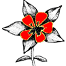 Native Flower