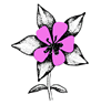 Native Flower