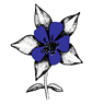 Native Flower