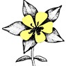 Native Flower